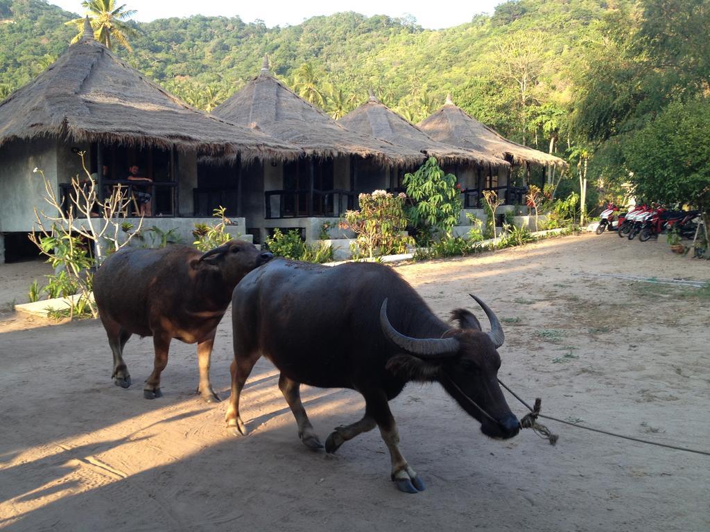 Secret Garden Village Ko Tao Eksteriør bilde